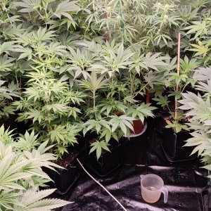 WhatsApp Image 2022-02-28 at 21.05.01 (2).jpeg