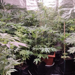 WhatsApp Image 2022-02-28 at 21.05.01 (1).jpeg