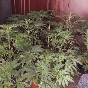 WhatsApp Image 2022-02-28 at 21.05.01.jpeg