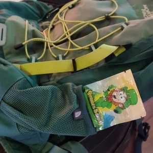 szkrzaty zielone.jpeg