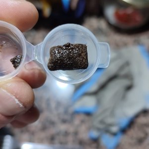 WhatsApp Image 2022-03-13 at 17.39.03 (1).jpeg