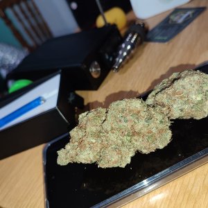 csi sour diesel.jpeg