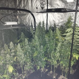 WhatsApp Image 2022-07-05 at 22.24.36 (3).jpeg