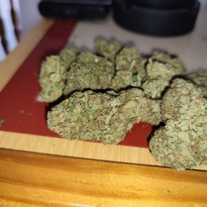 josh d x  IX x gorila glue  auto.jpeg