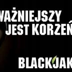 Nawoz-BlackJak-1L-Stymulator-Korzenia-Ukorzeniacz-Rodzaj-nawozu-wieloskladnikowy.jpg