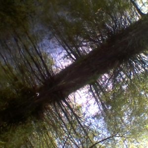 fotografię też lubię