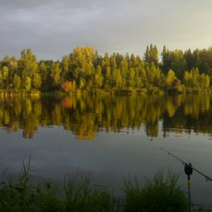 30082012775.jpg