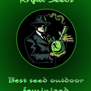 cannabis logo - Wykonano za pomoc PosterMyWall.jpg