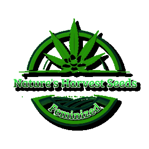 cannabis logo - Wykonano za pomoc PosterMyWall.png