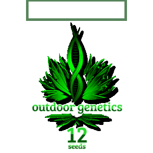 cannabis logo - Wykonano za pomoc PosterMyWall (1).png