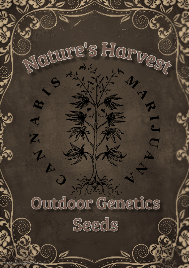 Black Neon Dia De Los Muertos Event A4 - Wykonano za pomoc PosterMyWall (2).jpg