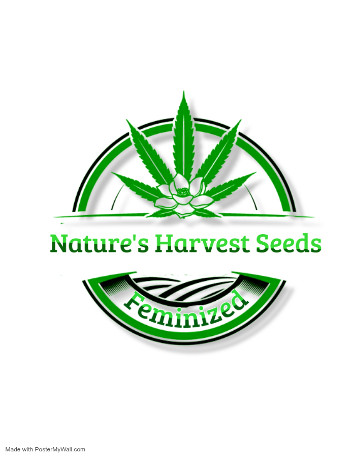 cannabis logo - Wykonano za pomoc PosterMyWall (2).png