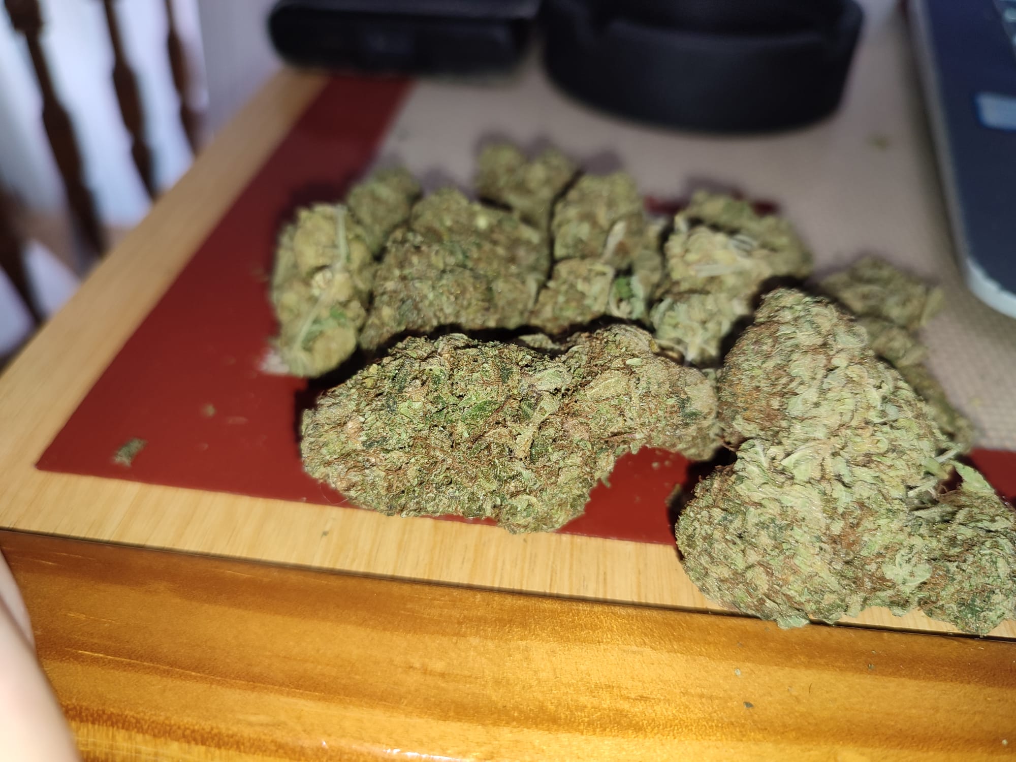 josh d x  IX x gorila glue  auto.jpeg