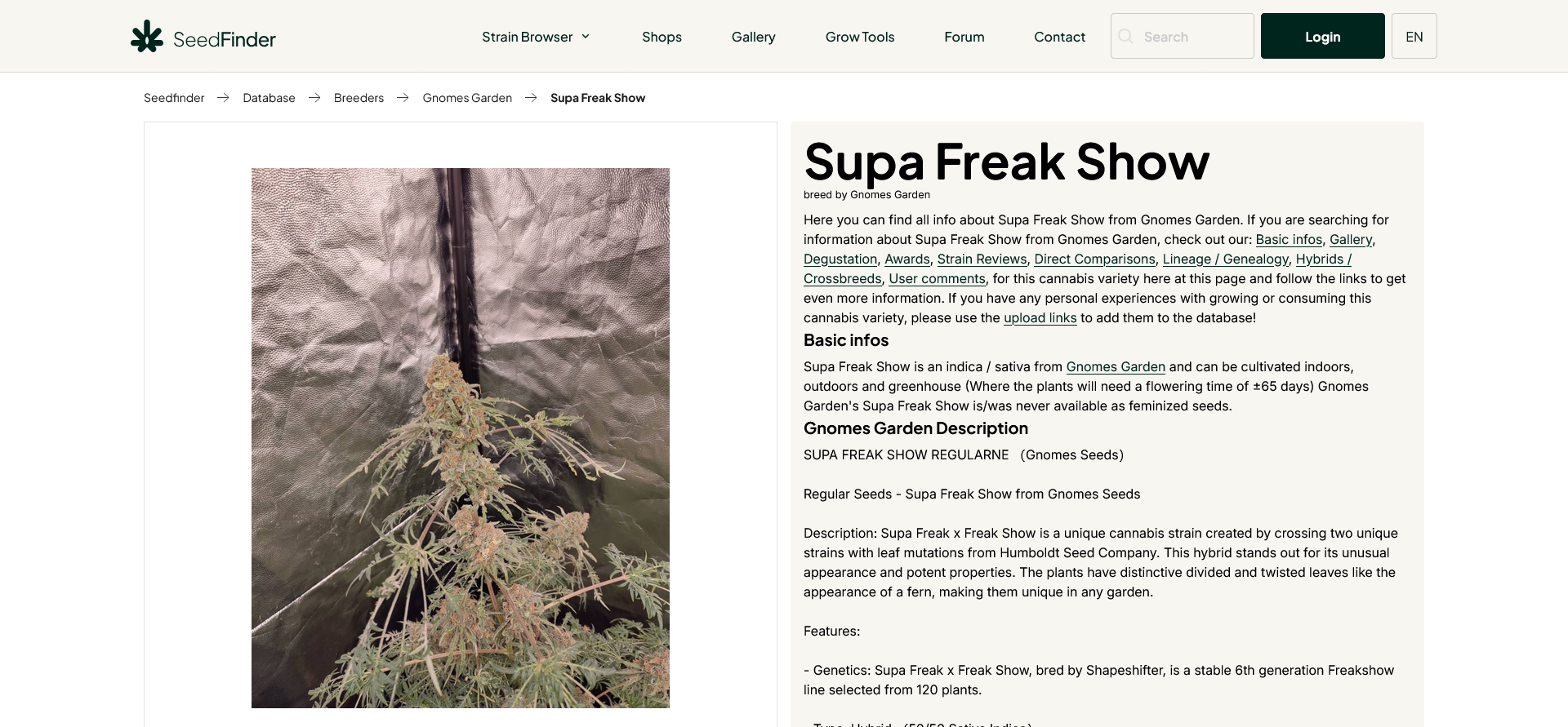 Screenshot 2024-12-01 at 16-10-28 Supa Freak Show (Gnomes Garden) Cannabis Strain Info SeedFin...png