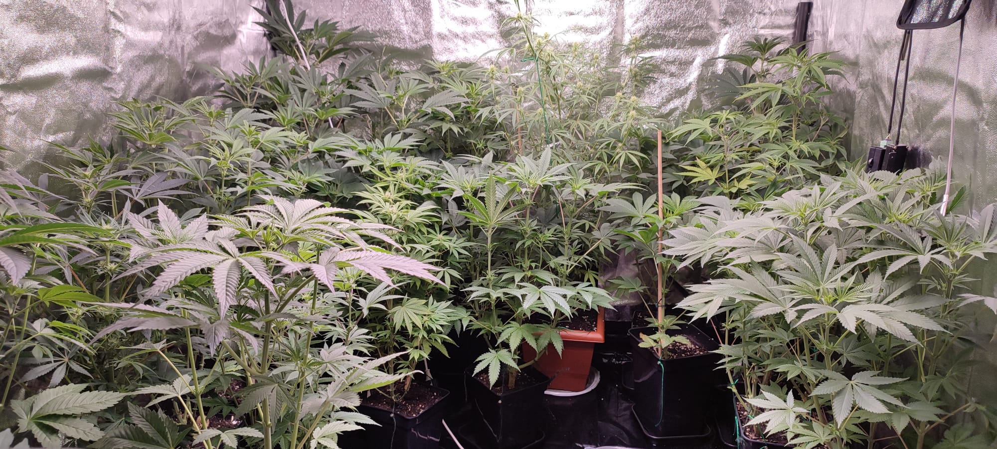 WhatsApp Image 2022-02-28 at 21.05.01 (1).jpeg