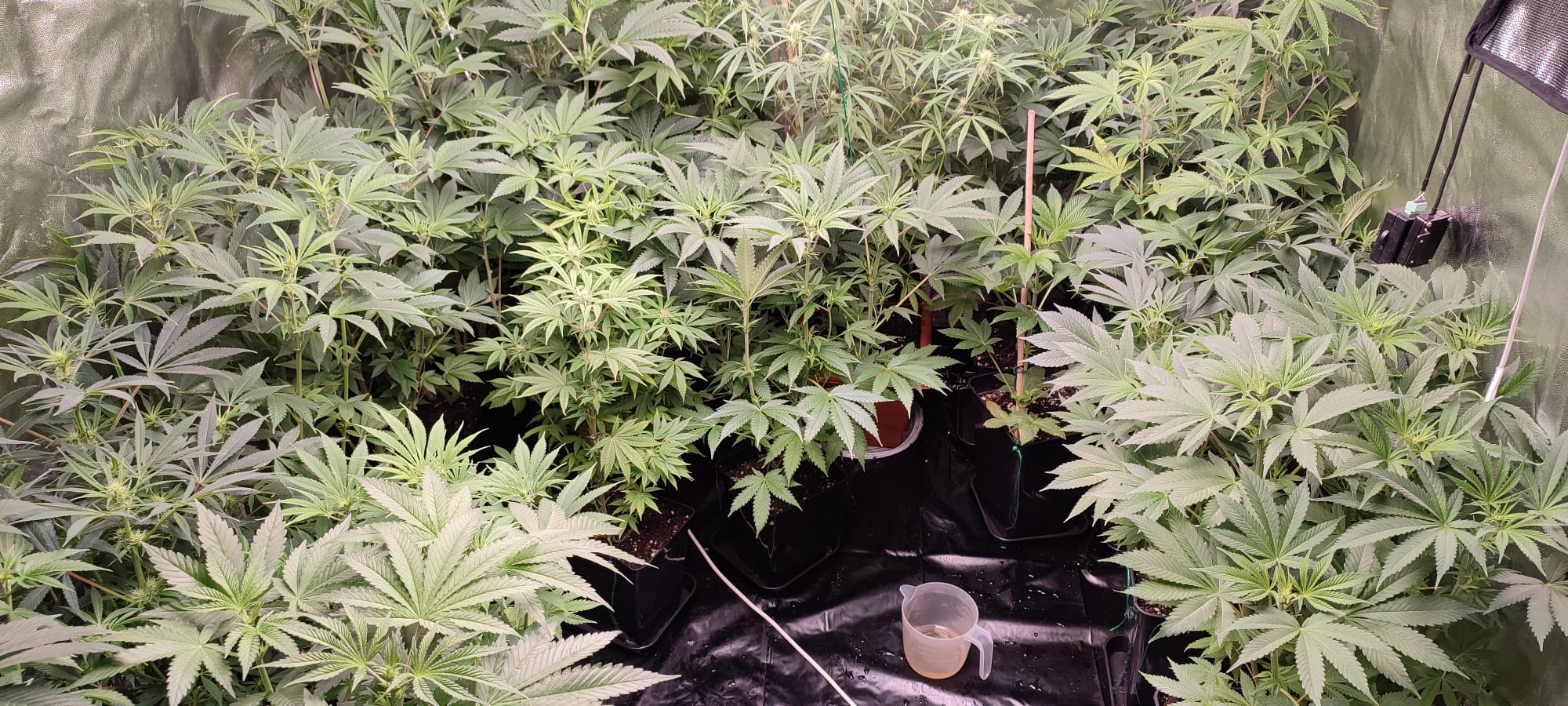 WhatsApp Image 2022-02-28 at 21.05.01 (2).jpeg