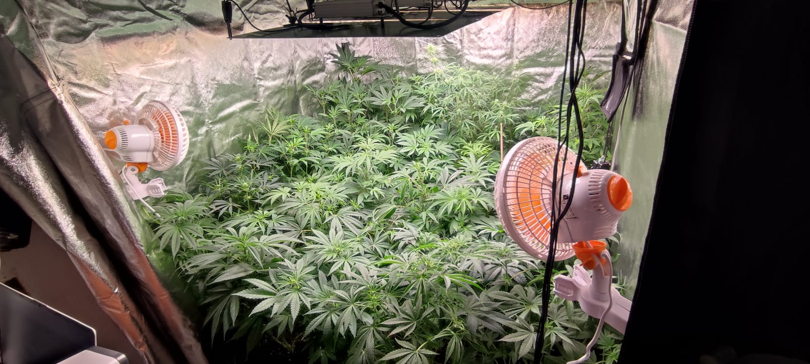 WhatsApp Image 2022-02-28 at 21.05.01 (3).jpeg