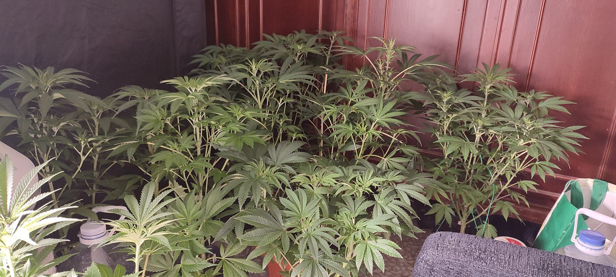 WhatsApp Image 2022-02-28 at 21.05.01.jpeg