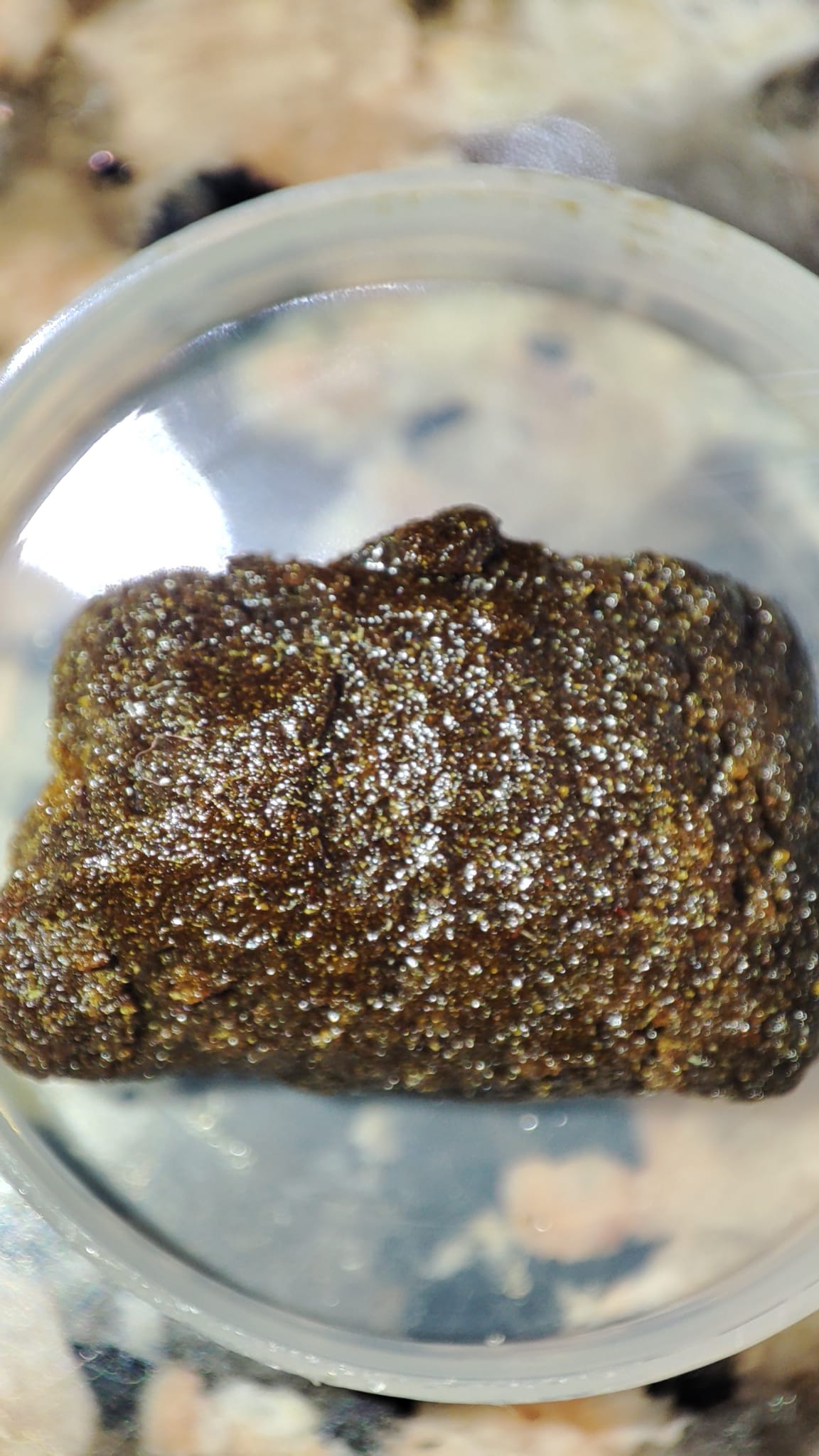 WhatsApp Image 2022-03-13 at 17.39.03.jpeg