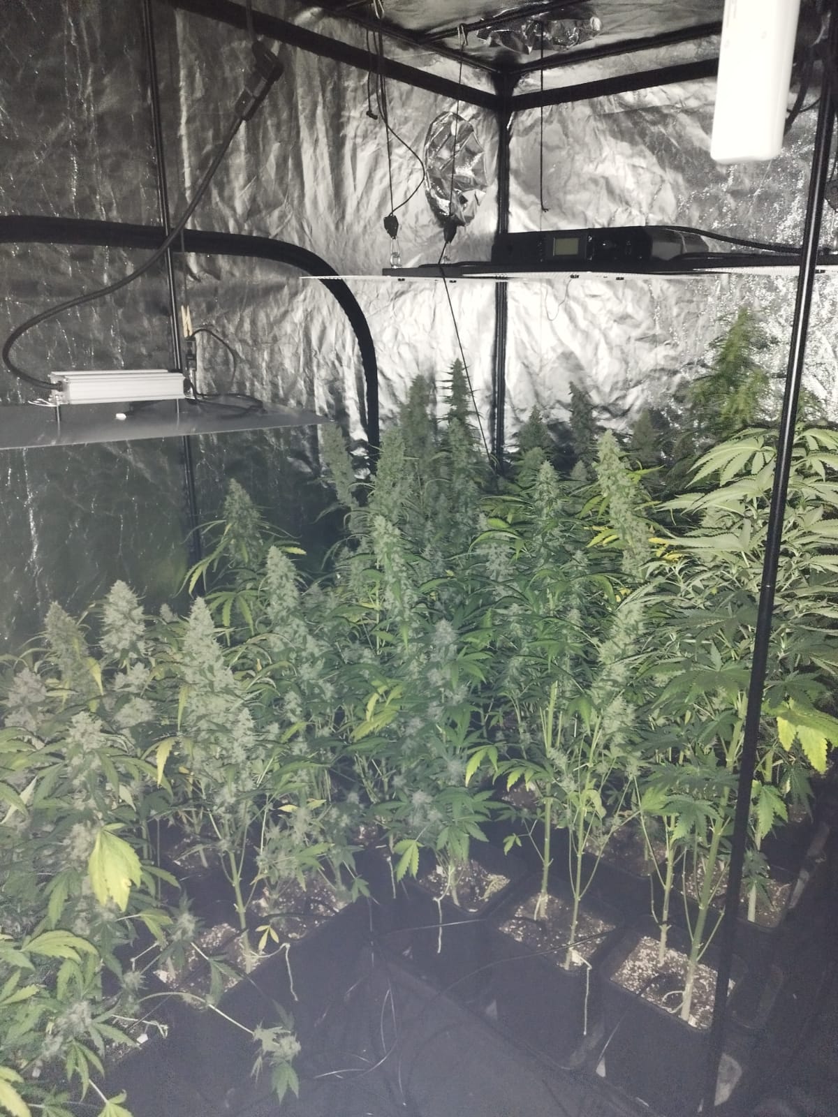 WhatsApp Image 2022-07-05 at 22.24.36 (3).jpeg