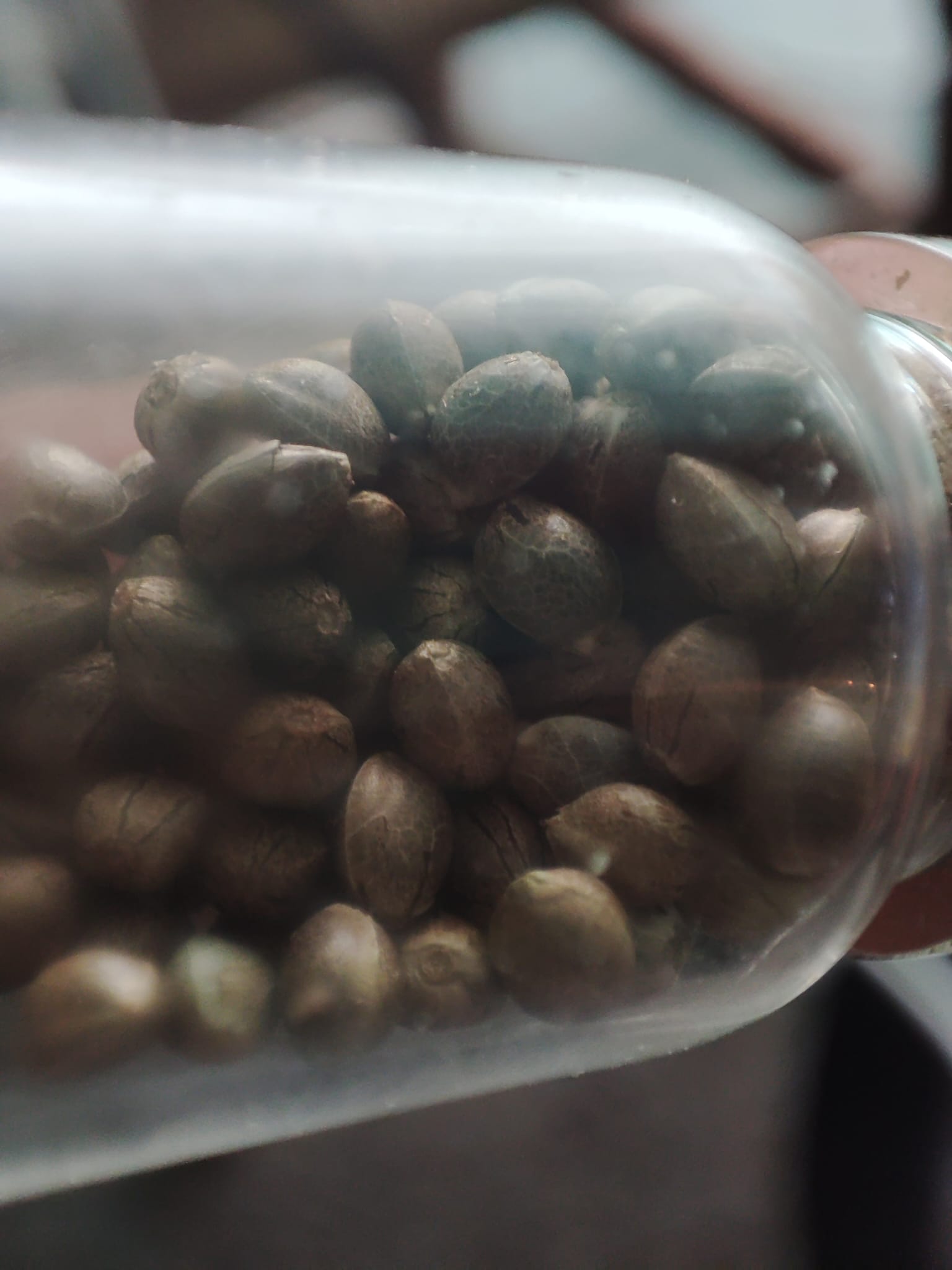 Zdjęcie WhatsApp.jpg